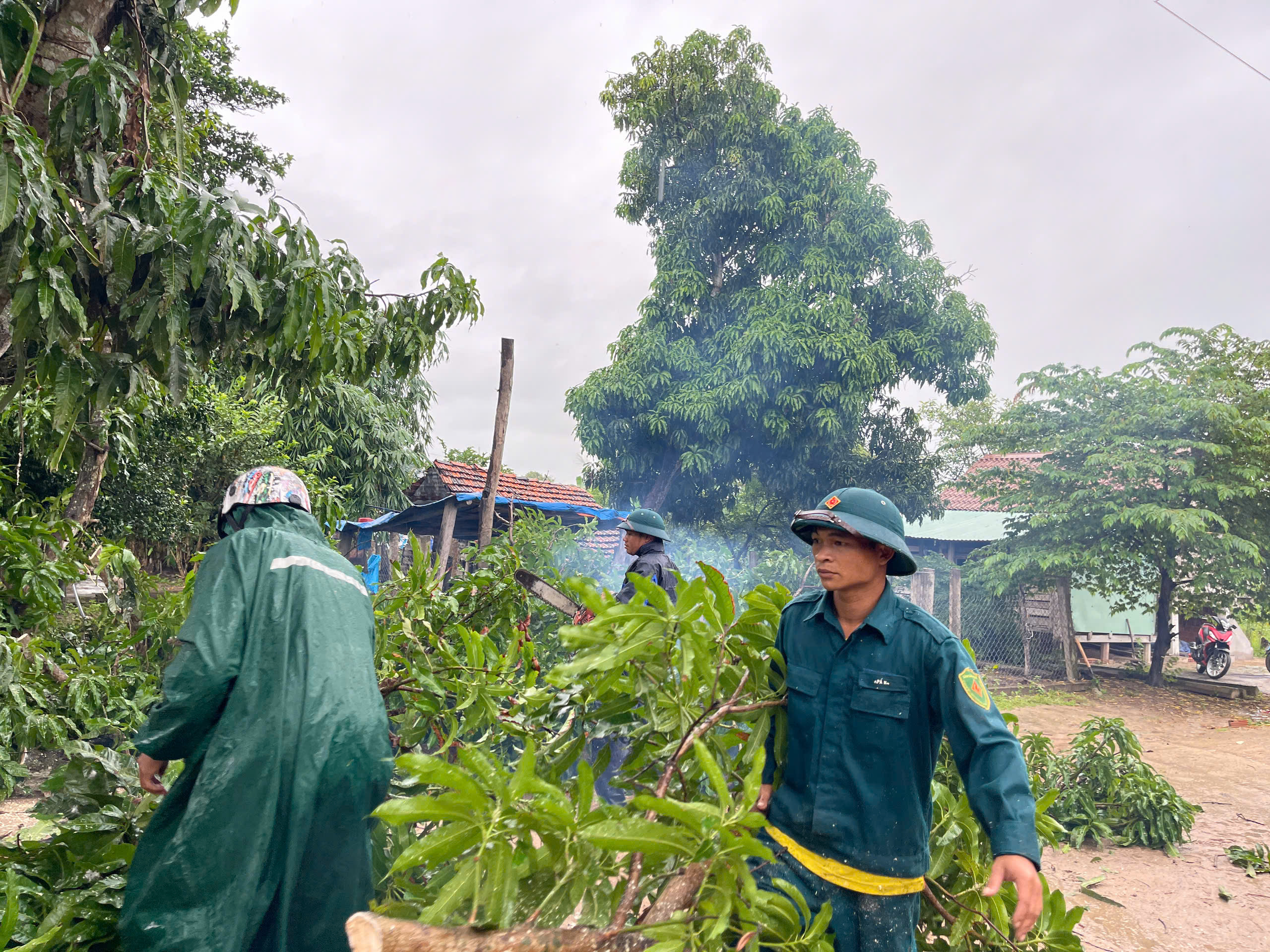 z7194445021303_b62d2d2d559883fe498f07d8121900ed