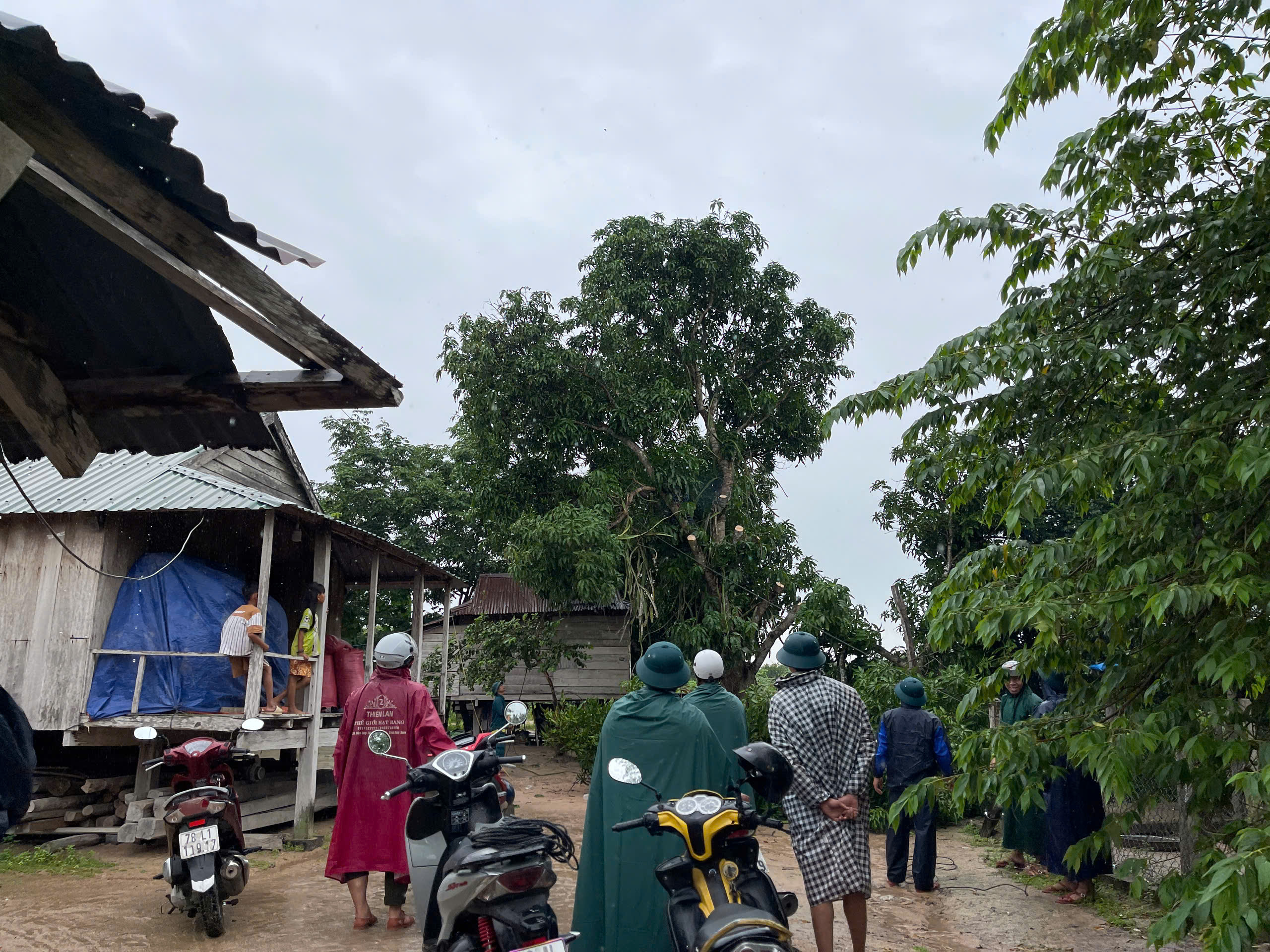 z7194445041837_873a6dcc1822524edf384d2c7f86f76e