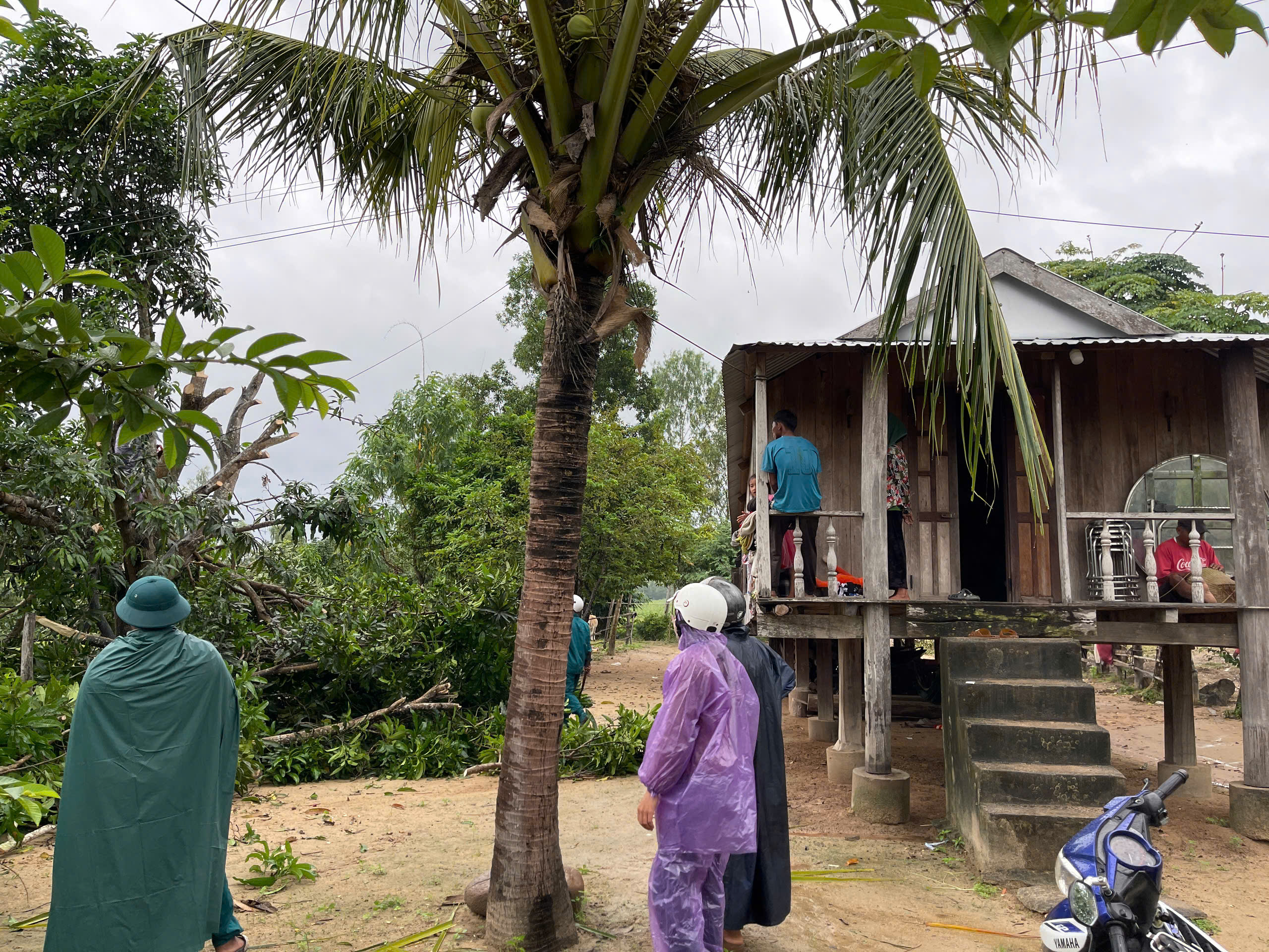 z7194445079654_799246bd43f308613427dc383c3df541